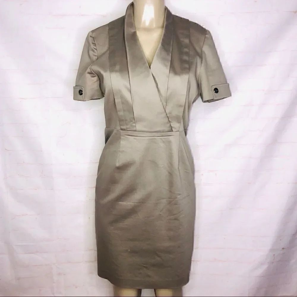 Tahari V cut pleated dress
